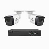 EL200 - 1080p 4 Channel Outdoor Wired Security CCTV System with 2 Cameras, 3.6 MM Lens, Smart DVR with Human & Vehicle Detection, 66 ft Infrared Night Vision, 4-in-1 Output Signal, IP67